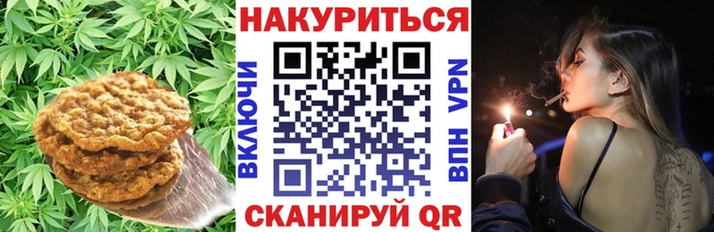 Купить закладки  Наро-Фоминск  Canna-Cookies конопля 