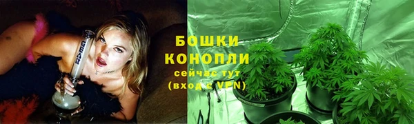 spice Лиски