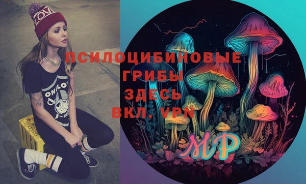 spice Лиски